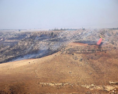 צילום: אקסלרוד הילה, ויקימדיה